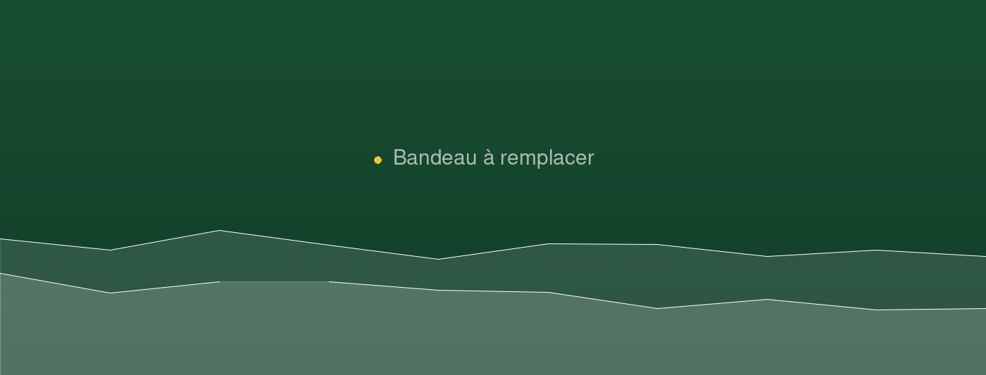 Maquette d’un site internet en cours de conception